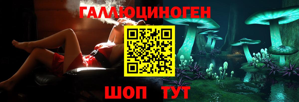 Ахтубинск  Галлюциногенные грибы GOLDEN TEACHER  Галлюциногенные грибы GOLDEN TEACHER  Вход с VPN 